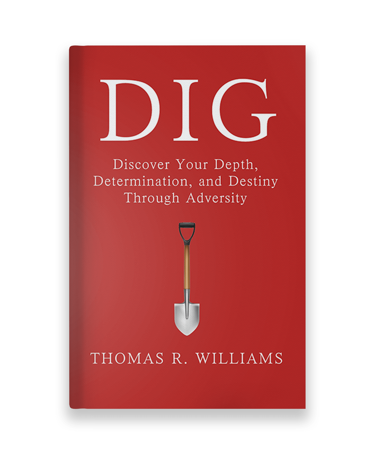 DIG